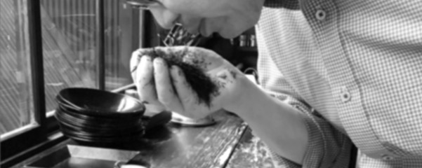 お茶を嗅ぐ画像